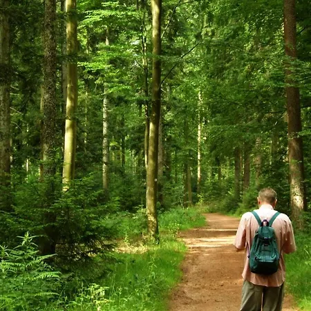 Waldschloss Bad Camberg