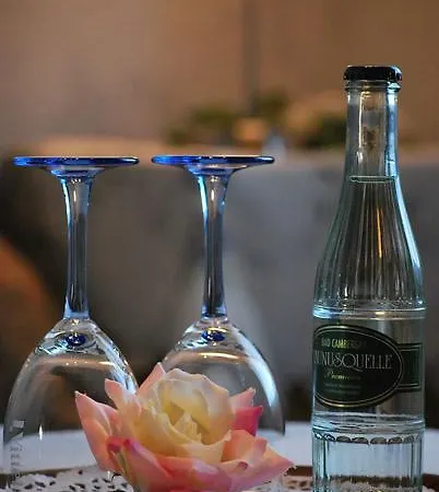 Hotel Waldschloss Bad Camberg