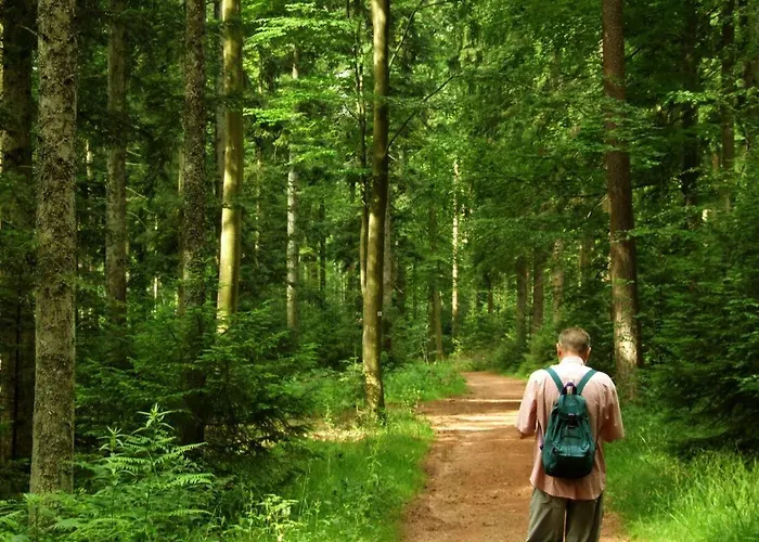 Waldschloss باد كامبيرغ